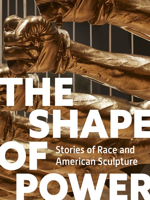 Title details for The Shape of Power by Karen Lemmey - Available
